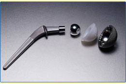 hip replacement parts